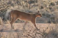 &copy; Tom Finke (Eberhardt TRAVEL)