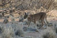 &copy; Tom Finke (Eberhardt TRAVEL)