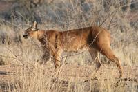 &copy; Tom Finke (Eberhardt TRAVEL)