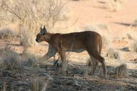 &copy; Tom Finke (Eberhardt TRAVEL)