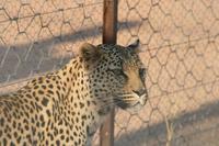 &copy; Tom Finke (Eberhardt TRAVEL)