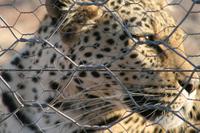 &copy; Tom Finke (Eberhardt TRAVEL)