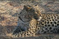 &copy; Tom Finke (Eberhardt TRAVEL)