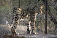 &copy; Tom Finke (Eberhardt TRAVEL)