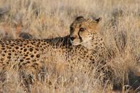 &copy; Tom Finke (Eberhardt TRAVEL)