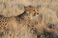 &copy; Tom Finke (Eberhardt TRAVEL)