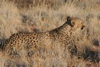 &copy; Tom Finke (Eberhardt TRAVEL)