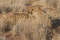 &copy; Tom Finke (Eberhardt TRAVEL)