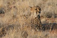 &copy; Tom Finke (Eberhardt TRAVEL)