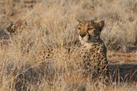 &copy; Tom Finke (Eberhardt TRAVEL)