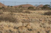 &copy; Tom Finke (Eberhardt TRAVEL)