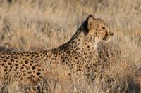 &copy; Tom Finke (Eberhardt TRAVEL)