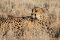 &copy; Tom Finke (Eberhardt TRAVEL)