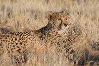 &copy; Tom Finke (Eberhardt TRAVEL)