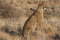 &copy; Tom Finke (Eberhardt TRAVEL)