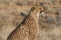 &copy; Tom Finke (Eberhardt TRAVEL)