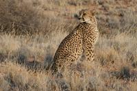 &copy; Tom Finke (Eberhardt TRAVEL)