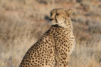 &copy; Tom Finke (Eberhardt TRAVEL)