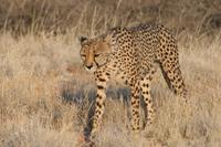 &copy; Tom Finke (Eberhardt TRAVEL)