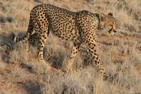 &copy; Tom Finke (Eberhardt TRAVEL)