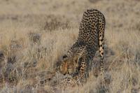 &copy; Tom Finke (Eberhardt TRAVEL)