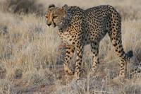 &copy; Tom Finke (Eberhardt TRAVEL)