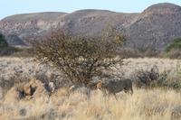 &copy; Tom Finke (Eberhardt TRAVEL)