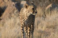 &copy; Tom Finke (Eberhardt TRAVEL)