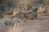 &copy; Tom Finke (Eberhardt TRAVEL)