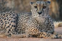 &copy; Tom Finke (Eberhardt TRAVEL)