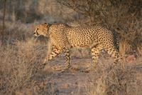 &copy; Tom Finke (Eberhardt TRAVEL)