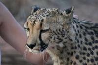 &copy; Tom Finke (Eberhardt TRAVEL)