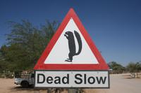 &copy; Tom Finke (Eberhardt TRAVEL)