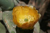 &copy; Tom Finke (Eberhardt TRAVEL)