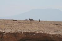 &copy; Tom Finke (Eberhardt TRAVEL)