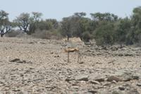 &copy; Tom Finke (Eberhardt TRAVEL)