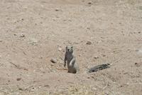 &copy; Tom Finke (Eberhardt TRAVEL)