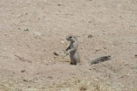 &copy; Tom Finke (Eberhardt TRAVEL)