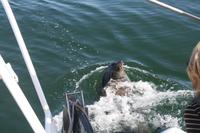 &copy; Tom Finke (Eberhardt TRAVEL)