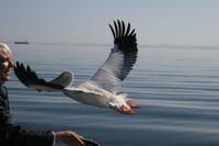 &copy; Tom Finke (Eberhardt TRAVEL)