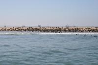 &copy; Tom Finke (Eberhardt TRAVEL)