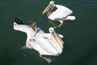 &copy; Tom Finke (Eberhardt TRAVEL)