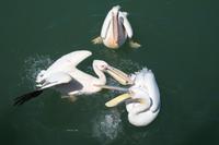 &copy; Tom Finke (Eberhardt TRAVEL)