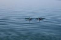 &copy; Tom Finke (Eberhardt TRAVEL)