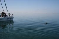 &copy; Tom Finke (Eberhardt TRAVEL)