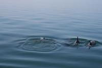 &copy; Tom Finke (Eberhardt TRAVEL)