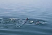 &copy; Tom Finke (Eberhardt TRAVEL)