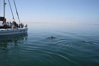 &copy; Tom Finke (Eberhardt TRAVEL)