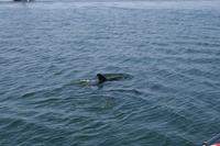 &copy; Tom Finke (Eberhardt TRAVEL)