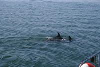 &copy; Tom Finke (Eberhardt TRAVEL)